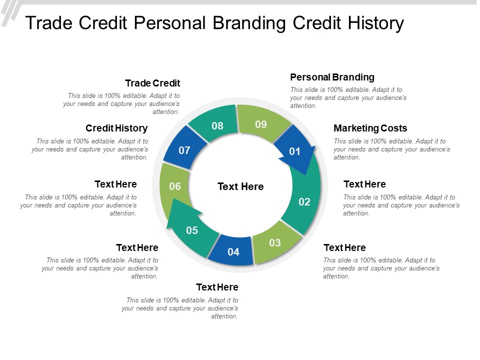 Trade Credit Personal Branding Credit History Marketing Costs Ppt PowerPoint Presentation Visual Aids Deck