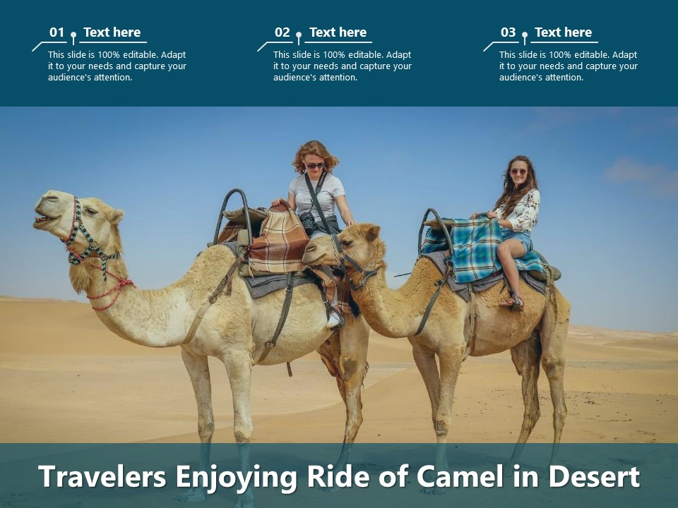 Travelers Enjoying Ride Of Camel In Desert Ppt PowerPoint Presentation File Outline PDF