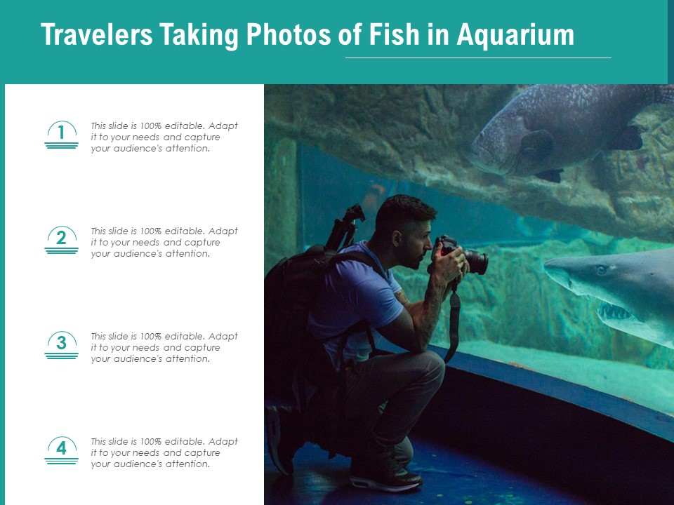 Travelers Taking Photos Of Fish In Aquarium Ppt PowerPoint Presentation File Deck PDF