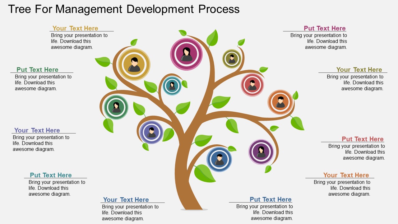 Tree For Management Development Process Powerpoint Template