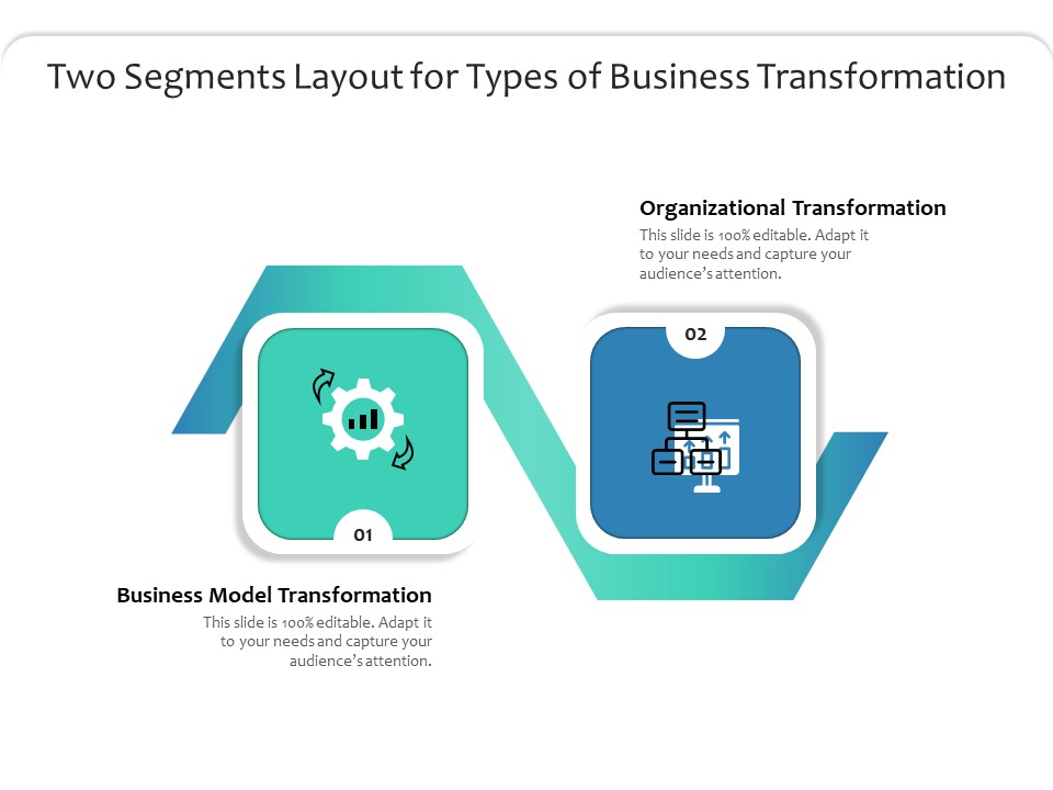Two Segments Layout For Types Of Business Transformation Ppt PowerPoint Presentation File Graphic Tips PDF