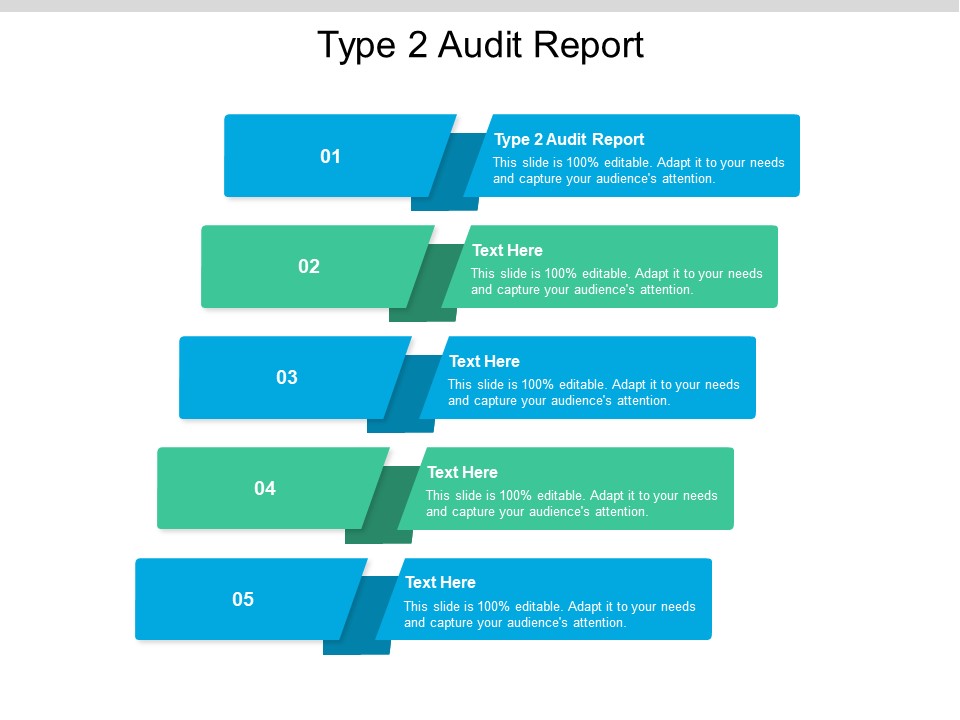 Type 2 Audit Report Ppt PowerPoint Presentation Model Styles Cpb Pdf