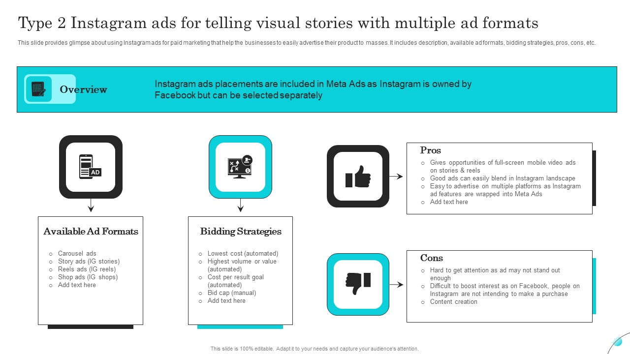 Type 2 Instagram Ads For Telling Visual Stories With Multiple Ad Formats Brochure PDF