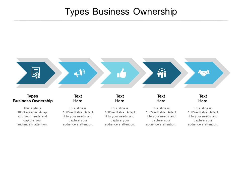 Types Business Ownership Ppt PowerPoint Presentation Summary Infographic Template Cpb