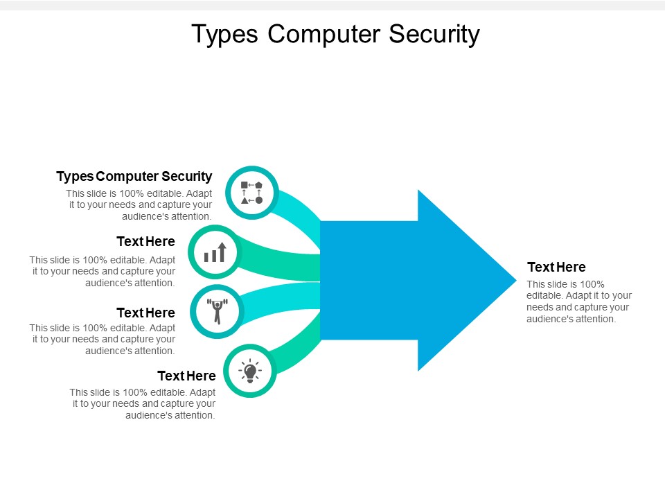 Types Computer Security Ppt PowerPoint Presentation File Templates Cpb