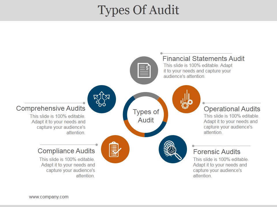 Types Of Audit Ppt PowerPoint Presentation Icon Influencers