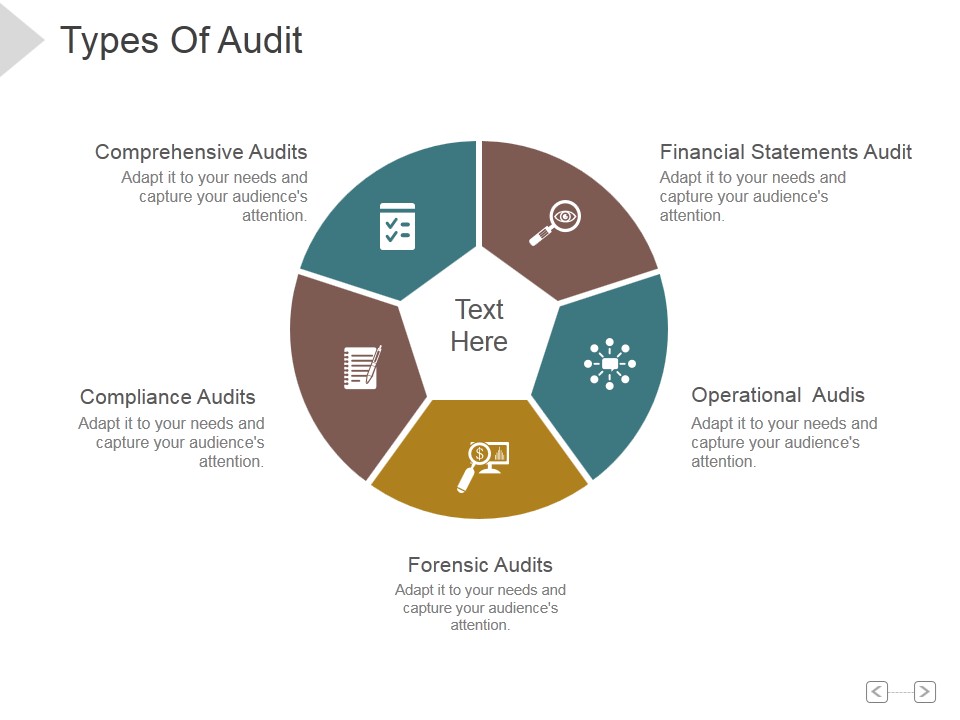 Types Of Audit Ppt PowerPoint Presentation Show