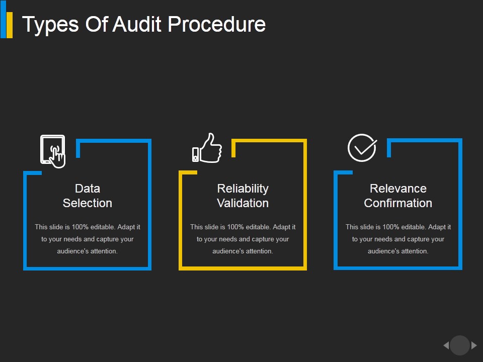 Types Of Audit Procedure Ppt PowerPoint Presentation Portfolio Designs