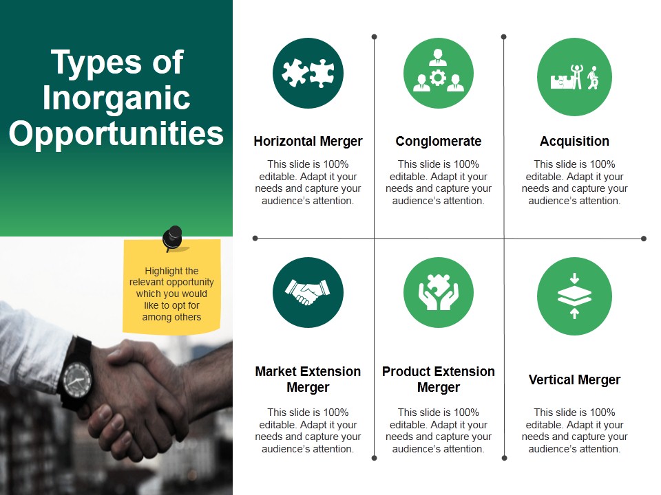 Types Of Inorganic Opportunities Template 2 Ppt PowerPoint Presentation Infographics Example