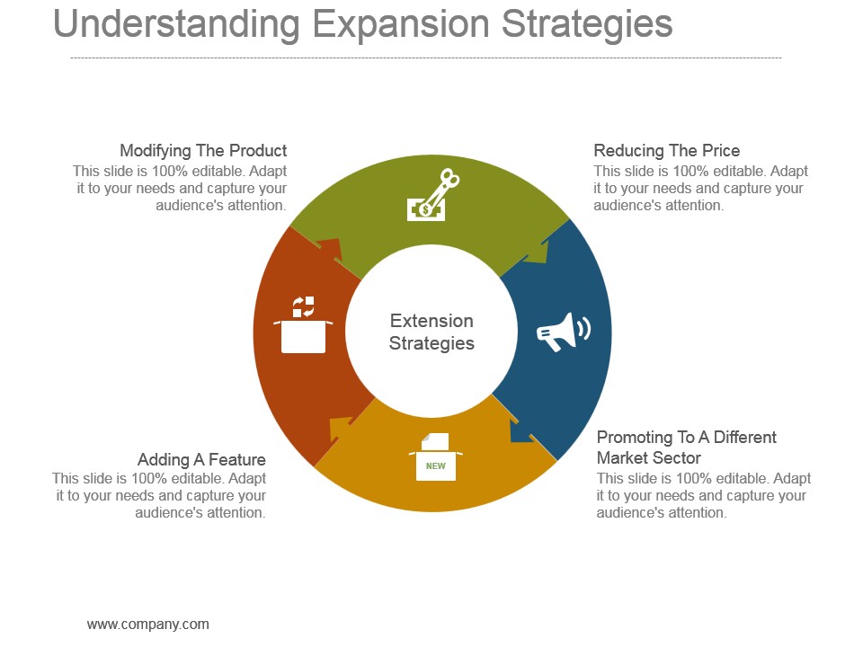 Understanding Expansion Strategies Powerpoint Slide Deck Template