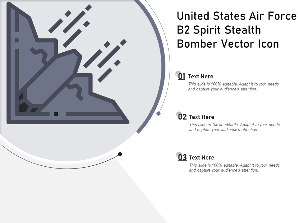 United States Air Force B2 Spirit Stealth Bomber Vector Icon Ppt PowerPoint Presentation Gallery Background Images PDF