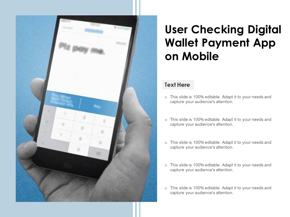 User Checking Digital Wallet Payment App On Mobile Ppt PowerPoint Presentation Gallery Rules PDF