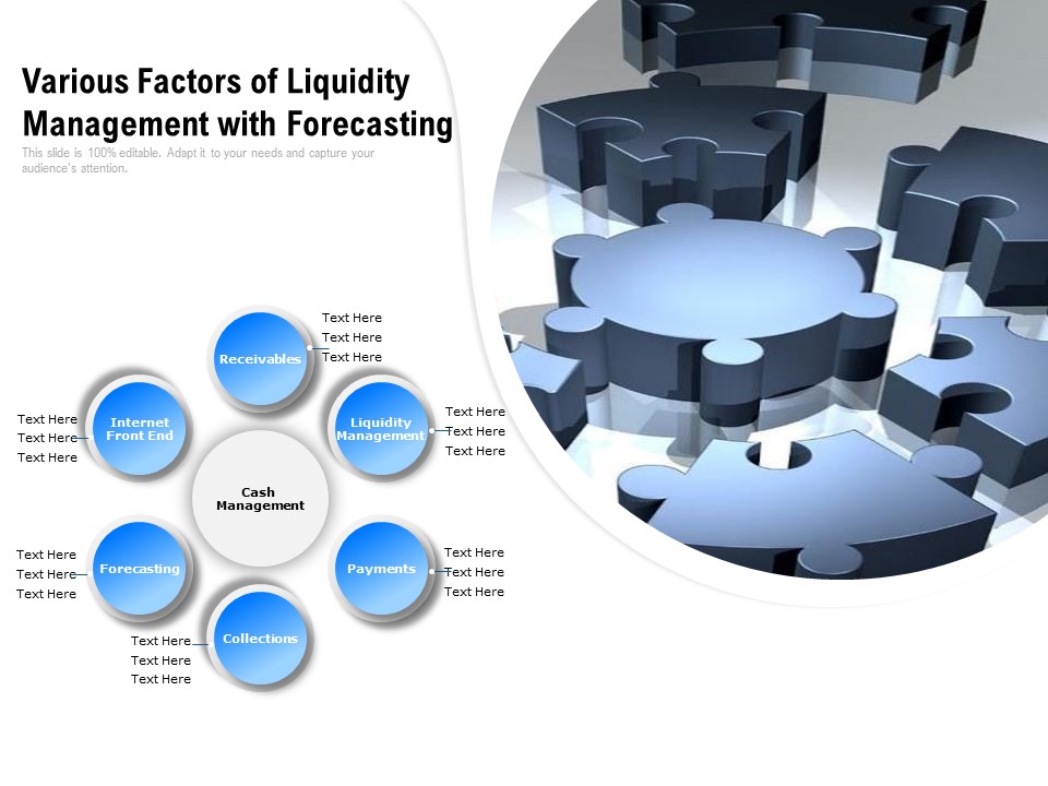 Various Factors Of Liquidity Management With Forecasting Ppt PowerPoint Presentation Gallery Slide Portrait PDF