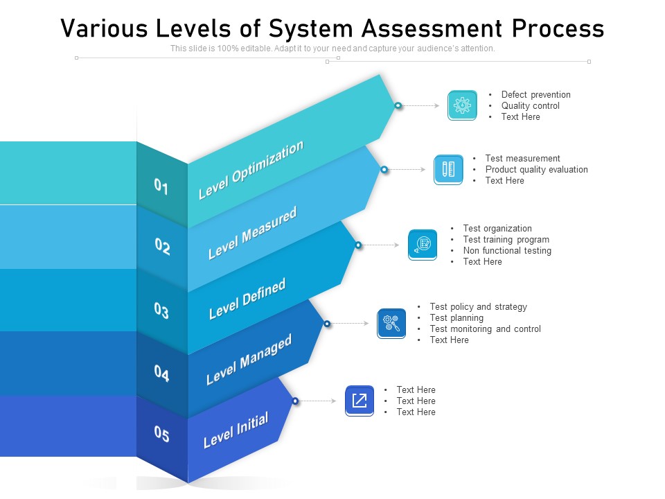 Various Levels Of System Assessment Process Ppt PowerPoint Presentation Pictures Summary PDF