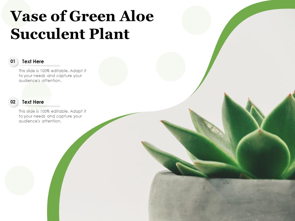 Vase Of Green Aloe Succulent Plant Ppt PowerPoint Presentation Infographics Portfolio PDF