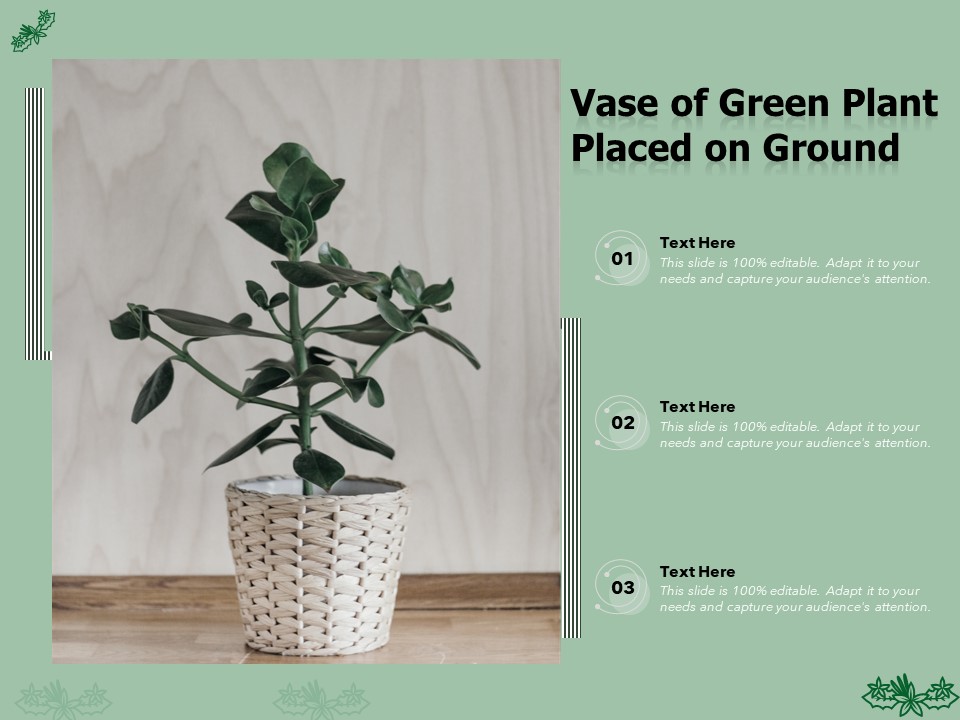 Vase Of Green Plant Placed On Ground Ppt PowerPoint Presentation Images PDF