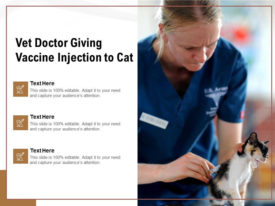 Vet Doctor Giving Vaccine Injection To Cat Ppt PowerPoint Presentation Professional PDF