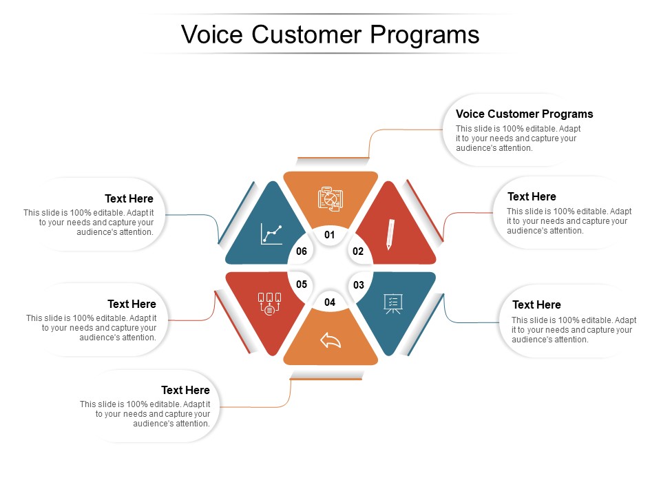 Voice Customer Programs Ppt PowerPoint Presentation Show Microsoft Cpb Pdf