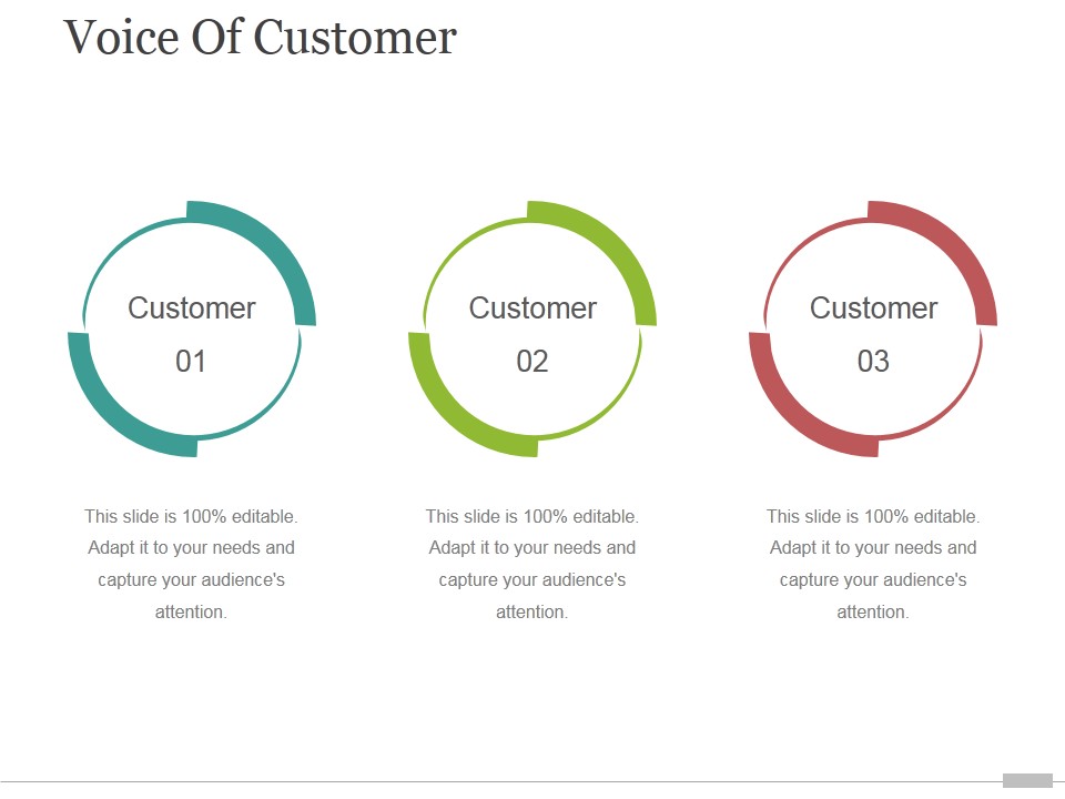 Voice Of Customer Tamplate 3 Ppt PowerPoint Presentation Sample
