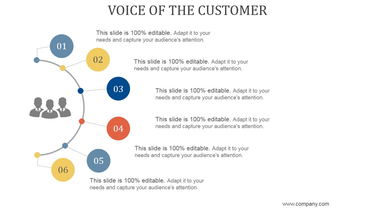 Voice Of The Customer Ppt PowerPoint Presentation Show