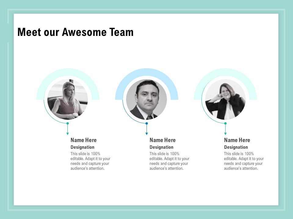 Vulnerability Assessment Methodology Meet Our Awesome Team Ppt Infographic Template Slide PDF