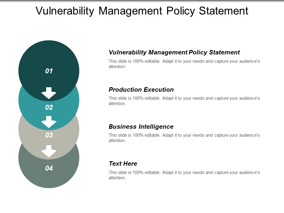 Vulnerability Management Policy Statement Production Execution Business Intelligence Ppt PowerPoint Presentation Inspiration Template