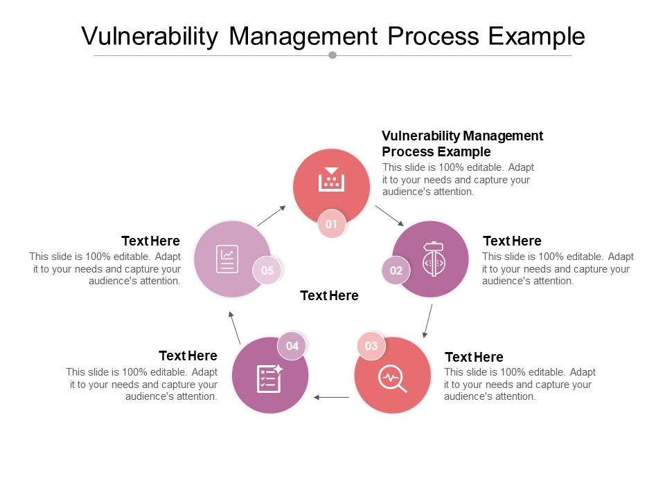 Vulnerability Management Process Example Ppt PowerPoint Presentation Slides Background Designs Cpb