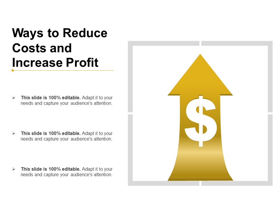 Ways To Reduce Costs And Increase Profit Ppt PowerPoint Presentation Professional Examples PDF