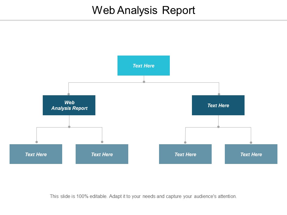 Web Analysis Report Ppt PowerPoint Presentation Styles Skills Cpb
