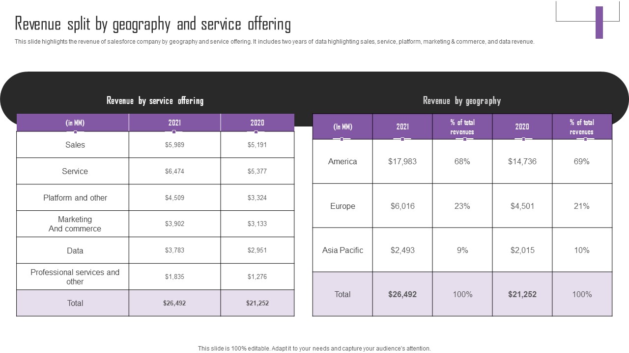 Web Hosting Software Company Outline Revenue Split By Geography And Service Offering Brochure PDF