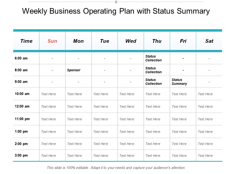 Weekly Business Operating Plan With Status Summary Ppt Powerpoint Presentation Pictures Designs Download