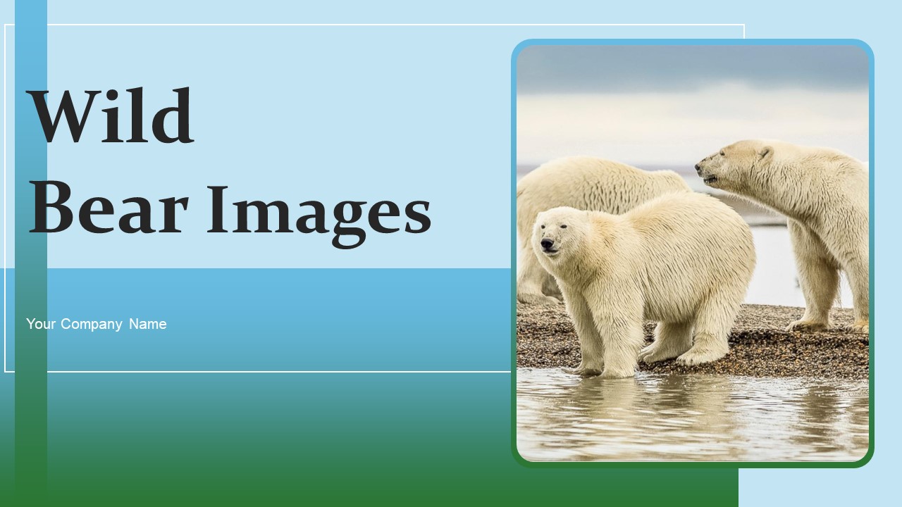 Wild Bear Images Ppt PowerPoint Presentation Complete Deck With Slides