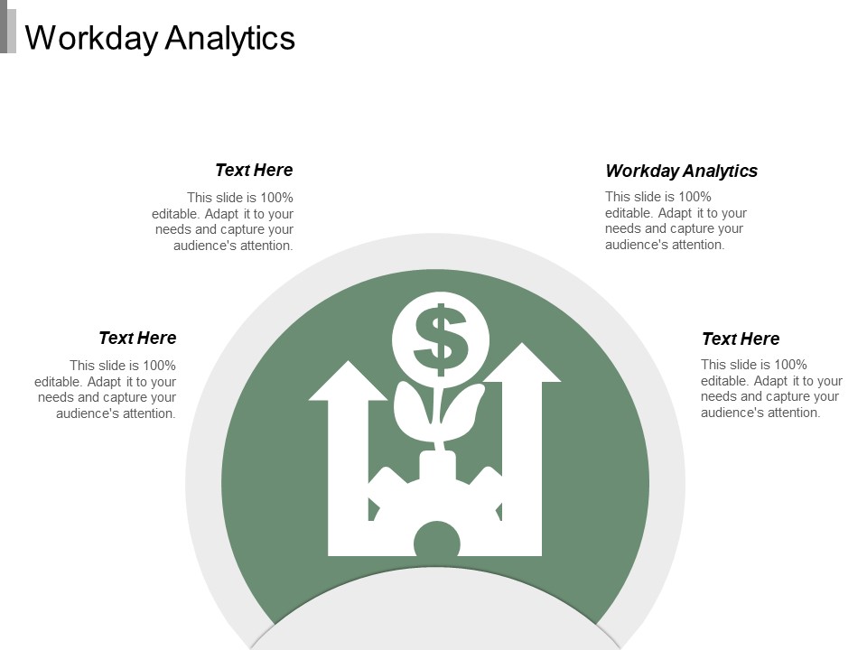 Workday Analytics Ppt PowerPoint Presentation Layouts Pictures Cpb
