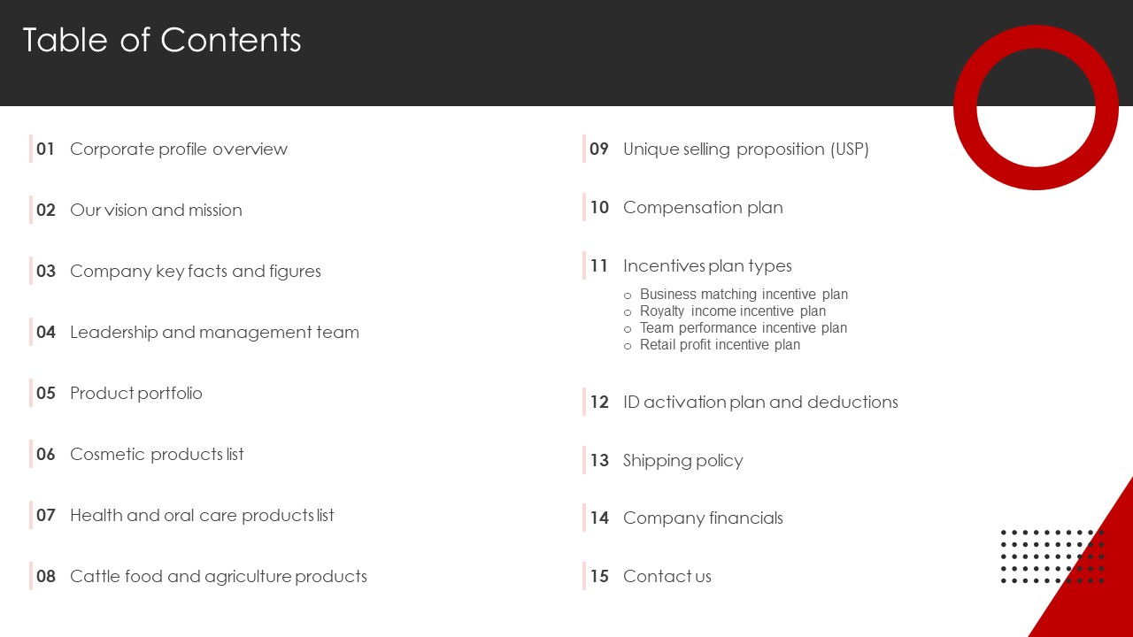 YASHBIZ Marketing Business Profile Table Of Contents Diagrams PDF