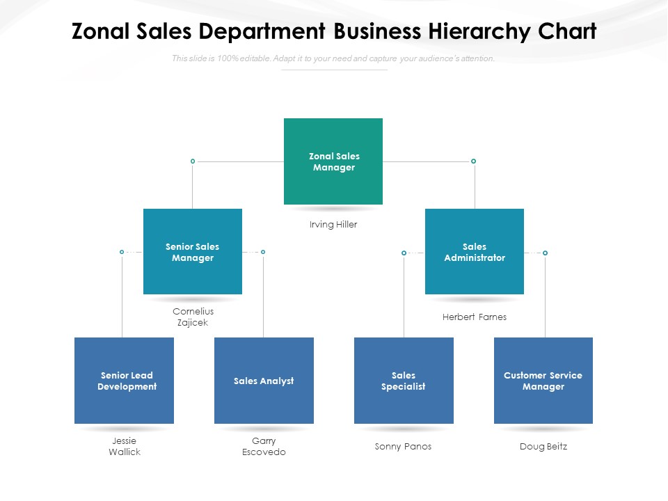 Zonal Sales Department Business Hierarchy Chart Ppt PowerPoint Presentation File Gridlines PDF