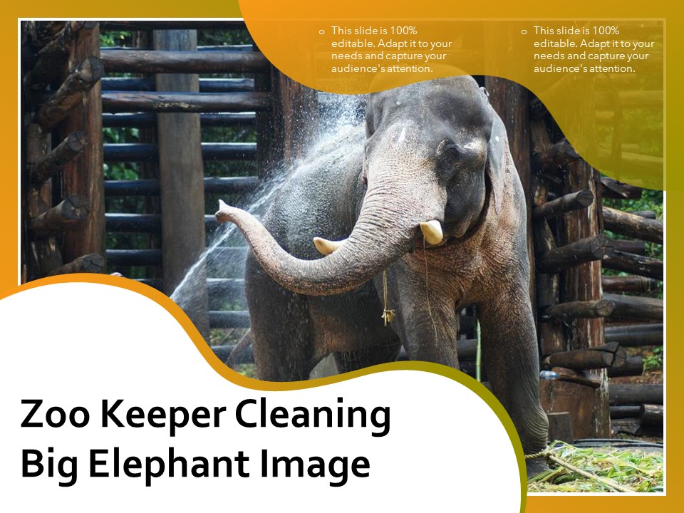 Zoo Keeper Cleaning Big Elephant Image Ppt PowerPoint Presentation Slides Graphics Template PDF