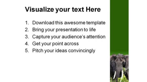 African Elephant Animals PowerPoint Backgrounds And Templates 0111