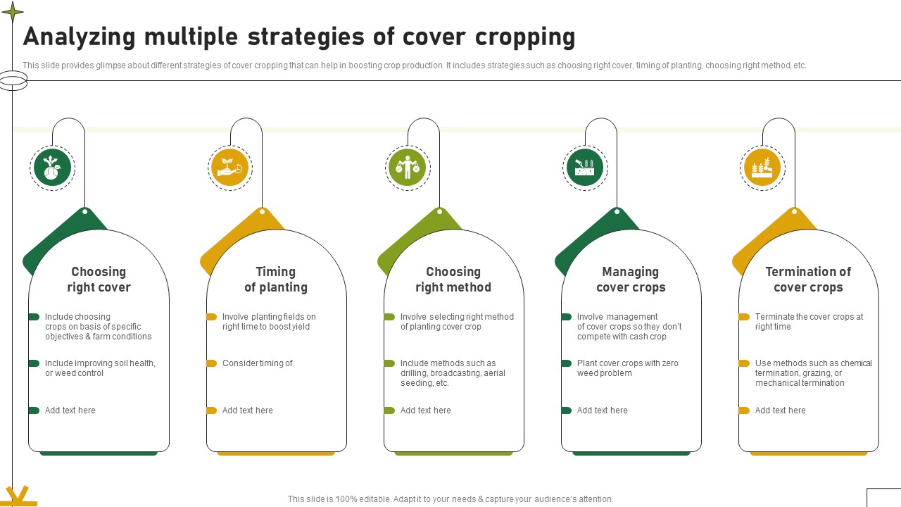 Analyzing Multiple Strategies Of Cover Cropping Adopting Sustainable Farming Techniques