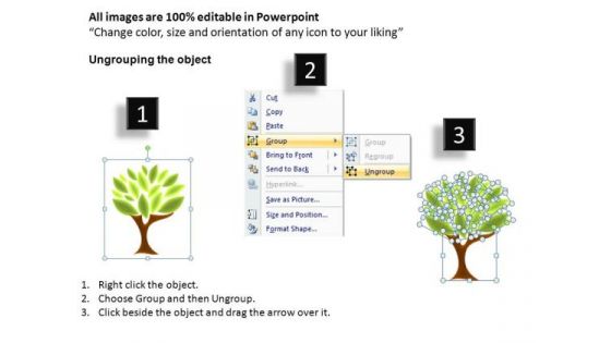 Ancestry PowerPoint Templates