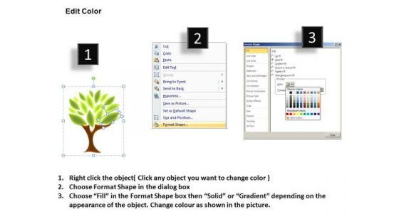 Ancestry PowerPoint Templates
