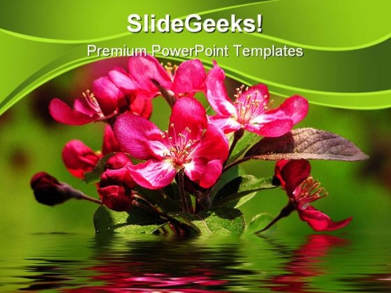 Apple Blooms Nature PowerPoint Background And Template 1210