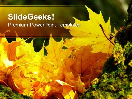 Autumn Leaves Fall Beautiful Theme PowerPoint Templates Ppt Backgrounds For Slides 0613
