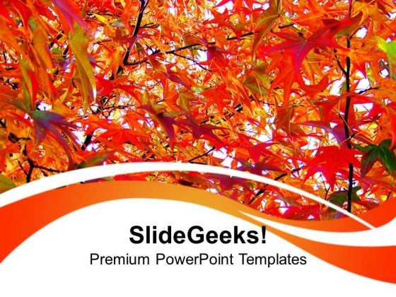 Autumn Leaves Nature PowerPoint Templates Ppt Backgrounds For Slides 0213