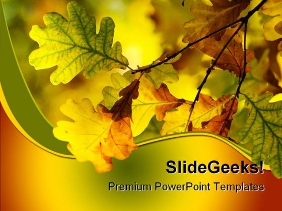 Autumn Leaves Shallow Nature PowerPoint Themes And PowerPoint Slides 0511