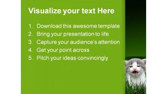 Baby Cat Animals PowerPoint Templates And PowerPoint Backgrounds 0211