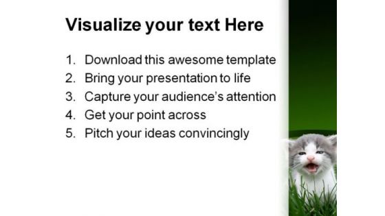 Baby Cat Animals PowerPoint Themes And PowerPoint Slides 0211