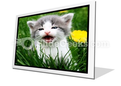 Baby Cat PowerPoint Icon F