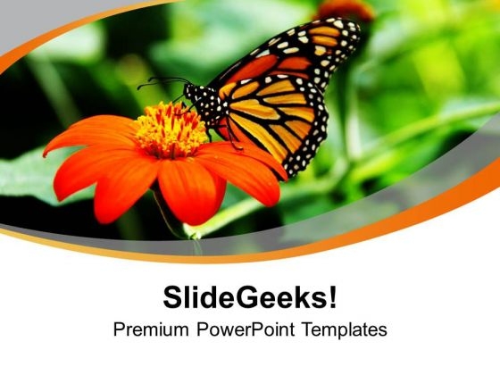 Background With Flower And Butterfly Happiness PowerPoint Templates Ppt Backgrounds For Slides 0413