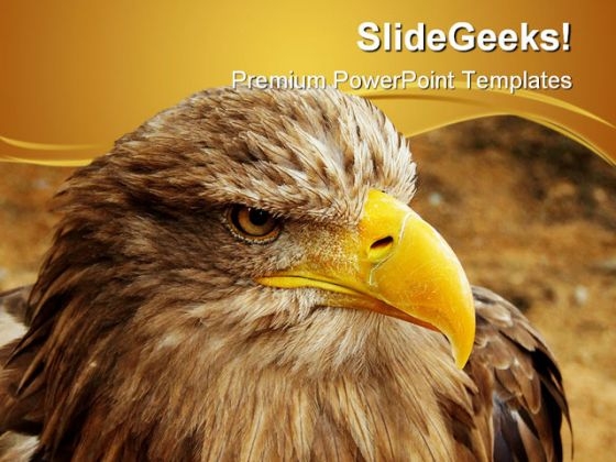 Bald Eagle Animal PowerPoint Themes And PowerPoint Slides 0411