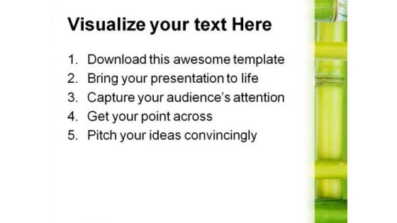 Bamboo Borders Nature PowerPoint Themes And PowerPoint Slides 0511